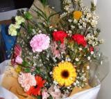 ���Ɍ��͎O�c�s�ɂė�������ɑ��k�����󂯂��Ă���܂��s�����m�̋{�{����ł��B���C�y�ɗ����Ɋւ��Ă����k�������܂��B